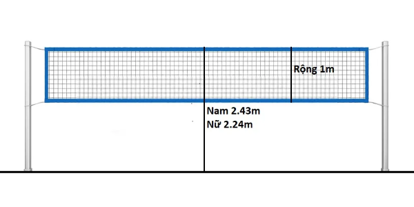 Lưới và độ cao cột lưới trong luật bóng chuyền 6 người
