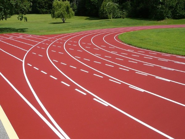 Đường chạy tổng hợp (Synthetic Track)